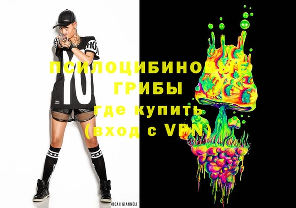 сатива Алексеевка