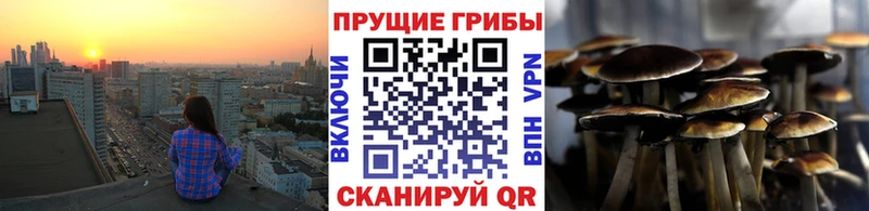 Галлюциногенные грибы Psilocybine cubensis  Алексеевка 